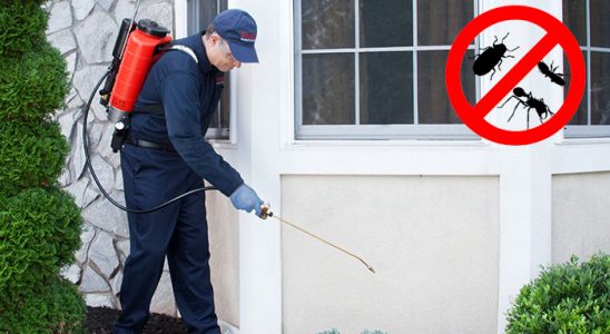 Yenimahalle Böcek ve Haşere İlaçlama böcek ilaçlama ve haşere kontrolü — ilaclama-tr.com